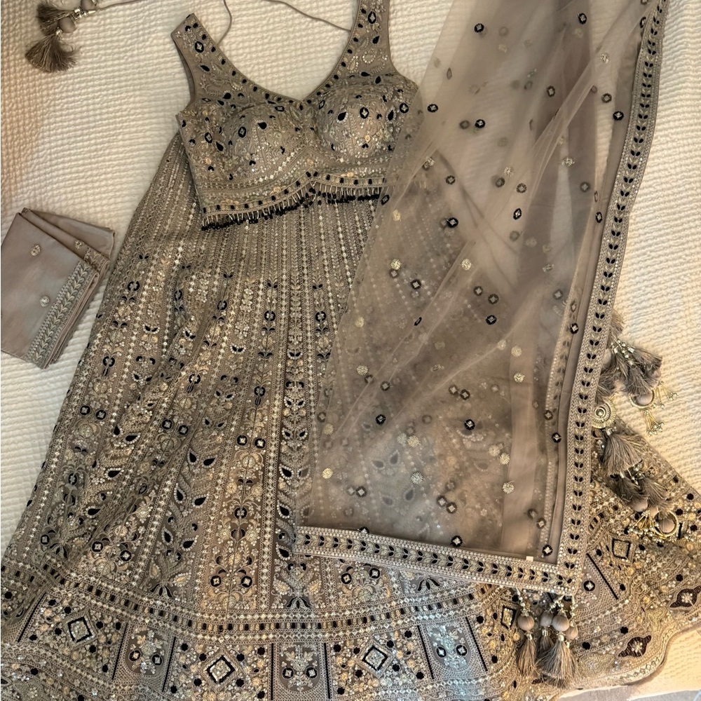 Elegant Embellished Lehenga